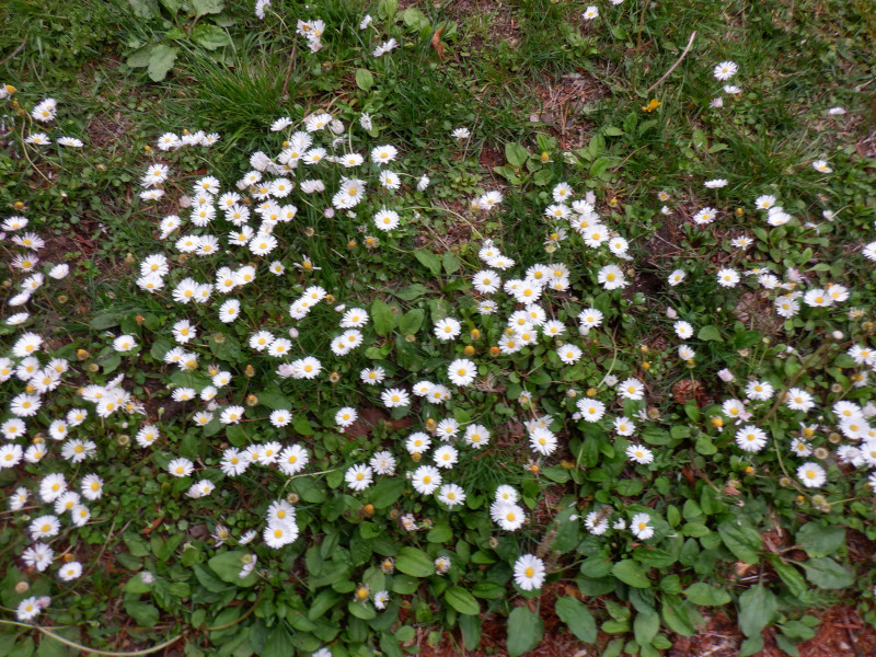 �y���y�������i